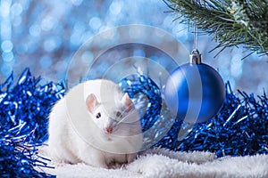 Happy New Year! Symbol of New Year 2020 - white or metal silver rat. Cute rat with Christmas decorated