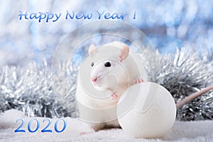 Happy New Year! Symbol of New Year 2020 - white or metal silver rat. Cute rat with Christmas decorated