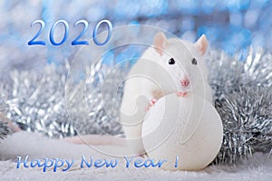 Happy New Year! Symbol of New Year 2020 - white or metal silver rat. Cute rat with Christmas decorated