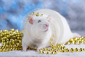 Happy New Year! Symbol of New Year 2020 - white or metal silver rat. Cute rat with Christmas decorated