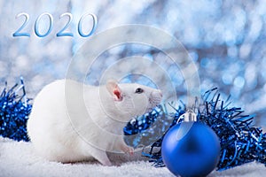 Happy New Year! Symbol of New Year 2020 - white or metal silver rat. Cute rat with Christmas decorated