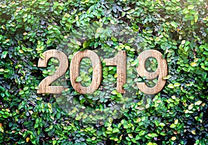 2019 happy new year wood texture number on Green leaves wall background,Nature eco concept,organic greeting card holiday.leave co