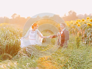 Happy newlywed couple at their wedding day walking in the sunflower field on sunset.