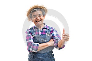 Happy old Asian gardener on a white