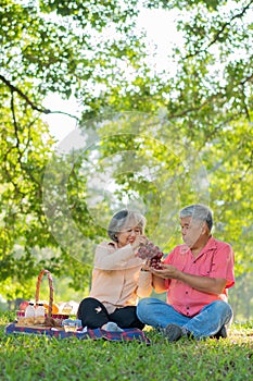 Happy old elderly couple spouses relaxing and sitting on a blanket in the park and sharing few precious memories. Senior couple