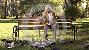 Happy old lady sitting on bench in park, feeding pigeons, elderly leisure time