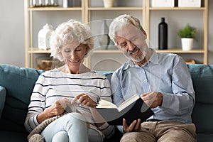 Happy old retired people spouses involved in domestic hobby activities.