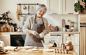 Happy old woman Granny cooks in kitchen kneads dough, bakes cookies