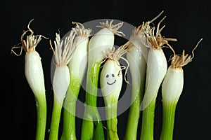 Happy Onions