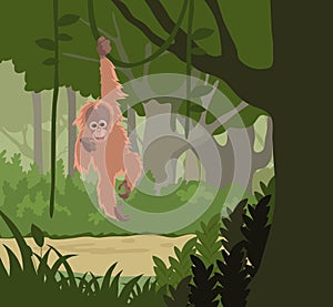 Happy Orangutan illustration