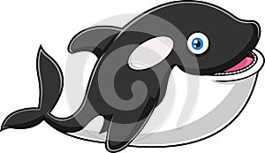 Happy Orca Or Killer Whale Cartoon Character Is Swimming