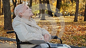 Happy outdoors elderly middle aged woman joyfully resting in autumn park sitting in wheelchair with disability illnesses