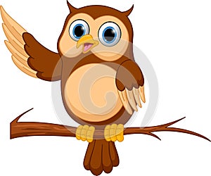 Happy Owl cartoon