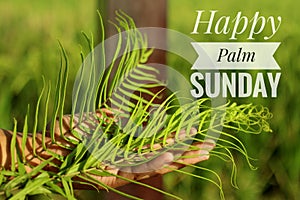 Happy Palm Sunday text desig on fresh green bakcgorund and fern or palm leaf concept. photo