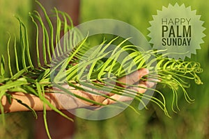 Happy Palm Sunday text design on fresh green bakcgorund and fern or palm leaf concept.