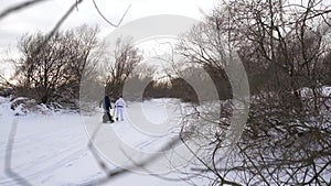 Happy parents of children ride on a sled. Joyful family resting on the natural rink. The gloomy winter day. Slow motion.