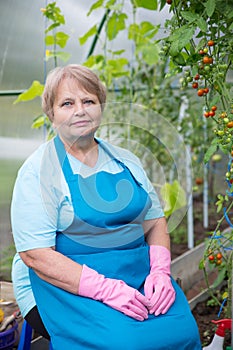 Happy pensioner woman wearing apron and gloves in greenhouse