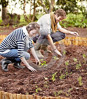 Happy people, man and woman for planting seeds for growth, organic and vegetable garden for agriculture. Friends, smile