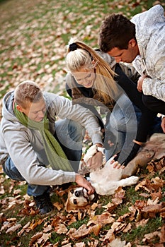 Happy people stroking dog outdoors