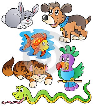 Happy pets collection 1