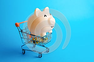 Happy piggy bank in a shopping cart. Optimism and joy from shopping. Credits and loans. Wealth and prosperity. Sale, favorable