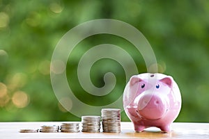 Happy Pink piggy Bank in close-up and coins stack on wooden table and nature background,