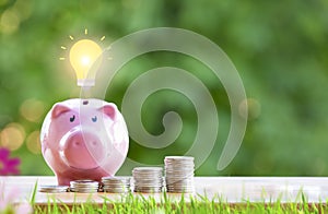 Happy Pink Piggy Bank and Light bulb in close-up and coins stack in the nature background