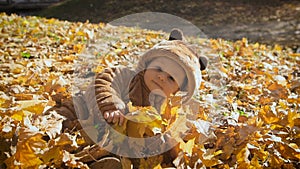 Happy playful child outdoors. Cute kid in bear costume lies in yellow autumn leaves. The little boy the first time in