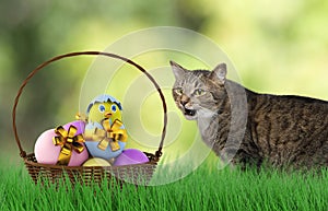 Happy playing easter Cat with eggs