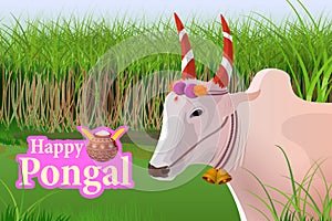 Happy Pongal celebration background