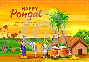 Happy Pongal Holiday Harvest Festival of Tamil Nadu South India greeting background