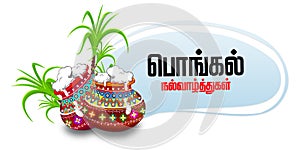 Happy Pongal religious festival of South India celebration background. illustration. happy pongal translate Tamil text