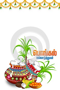 Happy Pongal religious festival of South India celebration background. illustration. happy pongal translate Tamil text