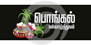 Happy Pongal religious festival of South India celebration background. illustration. happy pongal translate Tamil text