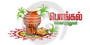 Happy Pongal religious festival of South India celebration background. illustration. happy pongal translate Tamil text