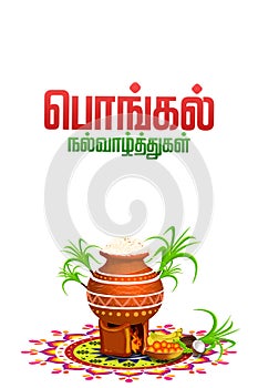 Happy Pongal religious festival of South India celebration background. illustration. happy pongal translate Tamil text