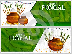 Happy Pongal religious holiday background for harvesting festival of India