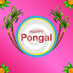 Happy Pongal religious holiday background for harvesting festival of India