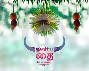Happy pongal wishes in tamil