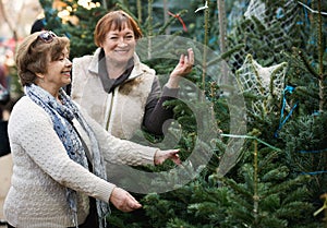 Happy positive elderly women selecting spruce