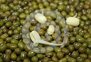 Happy positive emotion healthy fresh diet concept. Germinated mung bean seeds like a smiley face