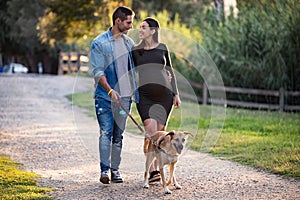 Happy pregnant couple looking each other while walking with dog in the park