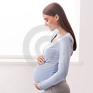 Happy Pregnant Lady Touching Belly Standing Next To Window Indoor