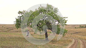 Happy pregnant woman with her husband in a field near a big tree at sunset.