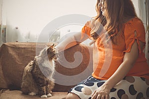 Happy pregnant woman playing with her cat pet sitting in kitchen sofa