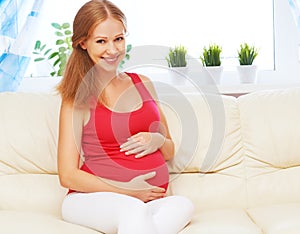 Happy pregnant woman is resting at home on sofa