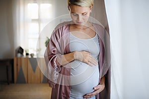 Happy pregnant woman stroking her belly and standing next to the window.