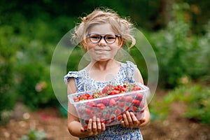 Happy preschool girl holding box with healthy strawberries from organic berry farm in summer, on sunny day. Smiling