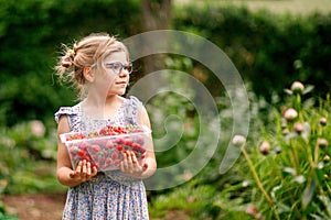 Happy preschool girl holding box with healthy strawberries from organic berry farm in summer, on sunny day. Smiling