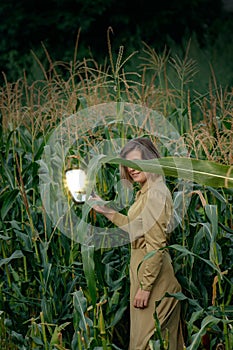 Happy pretty girl holding a mirror and walks and posing in the thickets of a corn field. Beauty and fashion